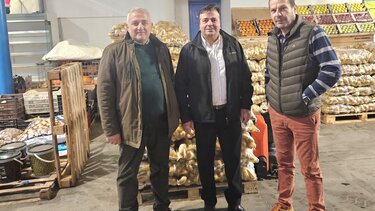 Νίκος Συριγωνάκης, Κεντρική Λαχαναγορά