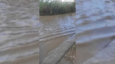 Τρεις Βαγιές, Βροχή, Δρόμος