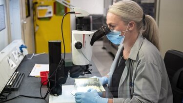 γρίπη εργαστήριο 