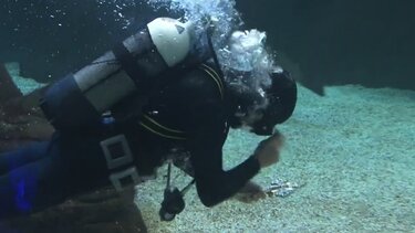  Ο Αγιασμός των Υδάτων στο Ενυδρείο Κρήτης