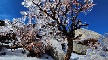 Το πρώτο χιόνι στον Ψηλορείτη - Πρωτοχρονιάτικη απόδραση στο Λιβαδιώτικο αόρι
