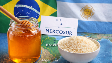 mercosur