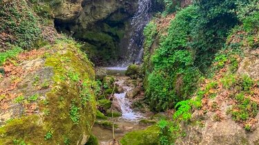 δρομοι ζωης