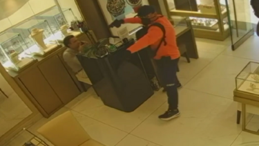 ροζ πανθηρες χαλκιδικη