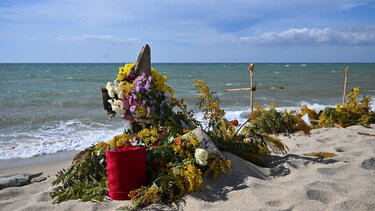 metanastes protothema