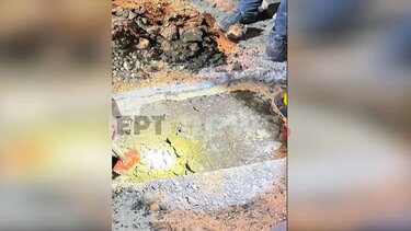 Βιολάντα σημείο διαρροής 