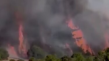 Χιλή: Τουλάχιστον 16 νεκροί από τις πυρκαγιές