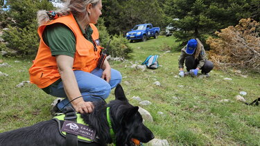 ΟΦΥΠΕΚΑ - Δηλητηριασμένα Δολώματα