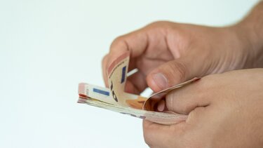 euro