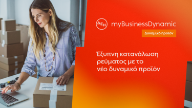 ΔΕΗ myBusiness Dynamic