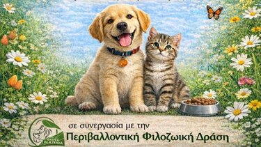 Χανιά: "Ημέρα Υιοθεσίας" στον Δήμο Πλατανιά