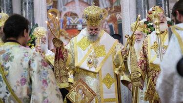 Τίτος Ταμπακάκης φωτογραφία