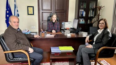 Κοζυράκη Φραγκούλης