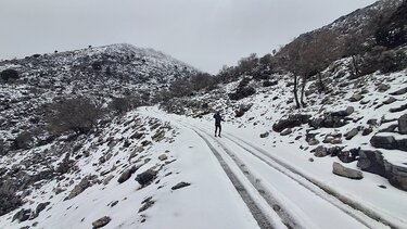 Χιονισμένο Τοπίο