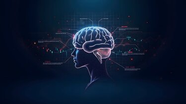 Εγκέφαλος, Νοημοσύνη, Ευφυΐα