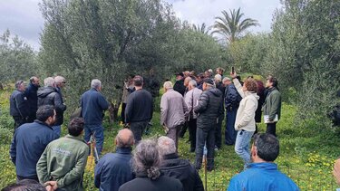 ημερίδα -ελαιόλαδο