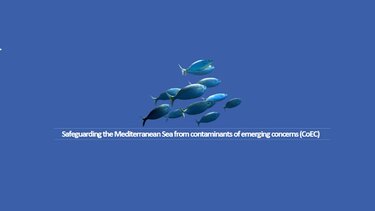 Θαλάσσια Ρύπανση από Μικρορρυπαντές & Πρόγραμμα iMERMAID