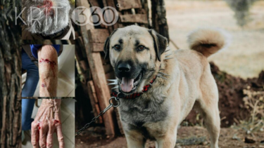 Ηλικιωμένη