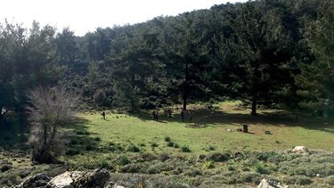 καθαρα-ορειβατικός-αγίου-νικολάου