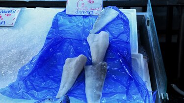 Μπακαλιάρος