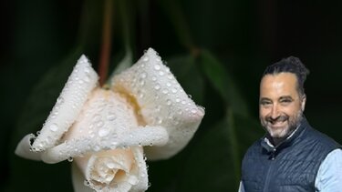 Αλέξανδρος Δασκαλάκης