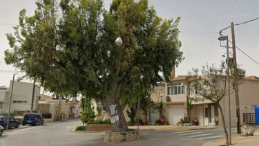 Σγουροκεφάλι