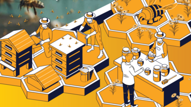 μελισσοκομια