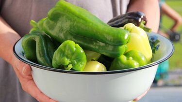 Λαχανικά, Χορτοφαγία