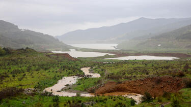 αποσελεμης