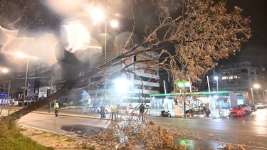 Κακοκαιρία, Αθήνα, Πτώση Δέντρου