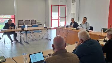 ΔΣ Χερσονήσου