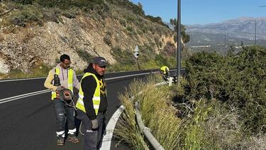 Δρόμος, Παχιά Άμμος, Αυτοψία