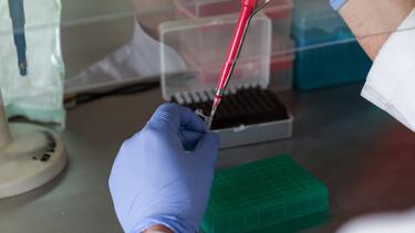 Εργαστήριο, Μικροβιολόγος