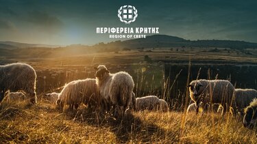  Ευλογιά των αιγοπροβάτων στην Κρήτη: Παρατείνονται τα προληπτικά μέτρα