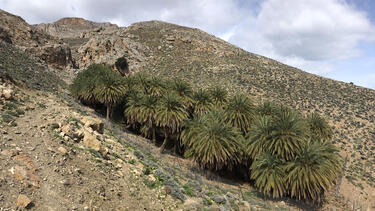 Στα μονοπάτια των Αστερουσίων με τον Ορειβατικό Αγίου Νικολάου