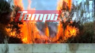 Πάτρα: Κινδύνευσαν σπίτια από φωτιά στο Μπεγουλάκι- Καταγγελίες για ακαθάριστα οικόπεδα 