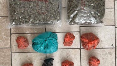 Εξαρθρώθηκε εγκληματική οργάνωση στη Λαμία