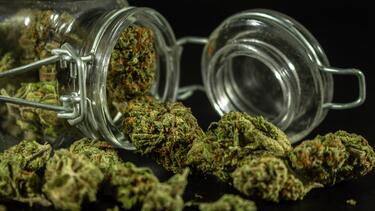 Κάνναβη, Ναρκωτικά