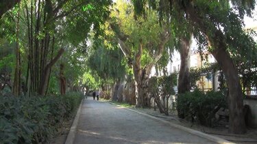 Ρέθυμνο: Κλείνουν οι δημοτικές τουαλέτες που βρίσκονται στην ανατολική πλευρά του Δημοτικού Κήπου