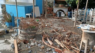 Λέντας ρεπορτάζ