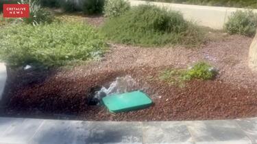 Νερό, Πλατεία Ελευθερίας 