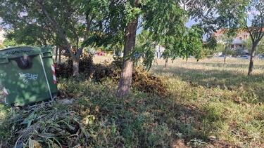 οικοπεδο καθαρισμος