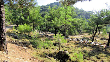 Κυριακάτικη πεζοπορία στον Κρούστα και το Καθαρό 