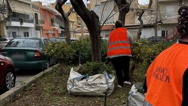 Εργασίες πρασίνου, Ηράκλειο
