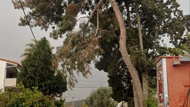 Δρόμος, Σοκαράς, Δήμος Γόρτυνας