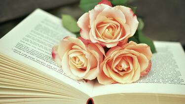 Βιβλίο, Τριαντάφυλλα