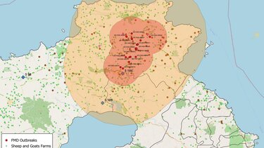 ΥΠΑΑΤ: Στα 20 τα επιβεβαιωμένα κρούσματα αφθώδους πυρετού στη Λέσβο - Δύο νέα κρούσματα σε τέσσερις εκτροφές