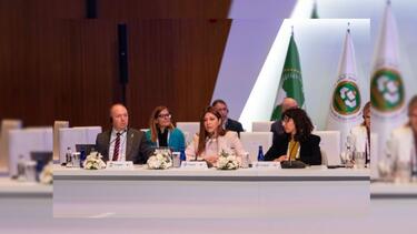 Σοφία Ζαχαράκη, ΟΟΣΑ