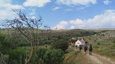 drogari_oreivatikos
