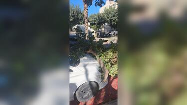 Δέντρο αυτοκίνητο Κνωσσού